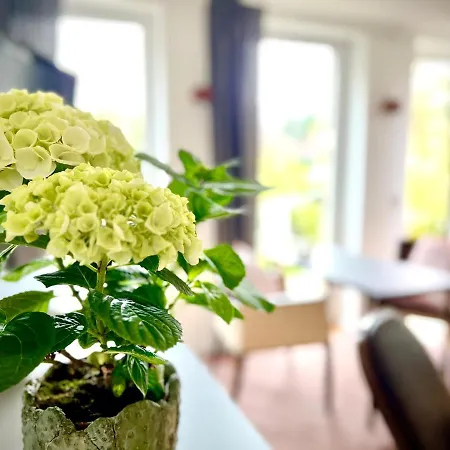 Stadtnah Und Ruhig *