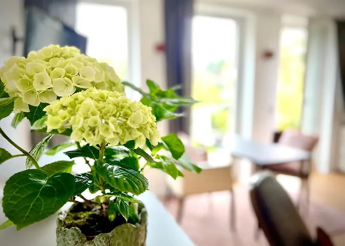 Stadtnah Und Ruhig *